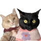Profile image of Olive and Pinto