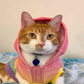 Profile image of Leo the Cutest Lion