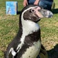 Profile image of Monty from Santa Barbara Zoo