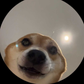 Profile image of Always Winnie