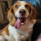 Profile image of Zoey