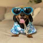 Profile image of Bruno The Mini Dachshund