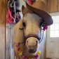 Profile image of Olivia The Mini Horse