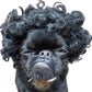 Profile image of Chico Evans