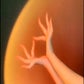 Profile image of haowu994