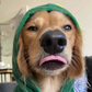 Profile image of WINSTON DA WEEN