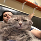 Profile image of Kevin Mehdizadeh
