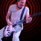 Profile image of Adrian Belew