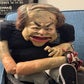 Profile image of Dummy