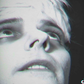 Profile image of Trevor Deley