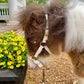 Profile image of R&R Ranch Miniature Horse Sanctuary