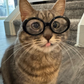 Profile image of Dizzy Crosseyed Kitty