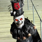 Profile image of El Mariachi Muerto