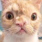 Profile image of SMUSH