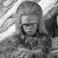 Profile image of Phillip Paley