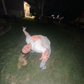 Profile image of Kolbie Rockhill