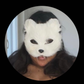 Profile image of white fox molly