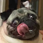 Profile image of Mabletheangel