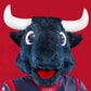 Profile image of TORO