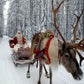 Profile image of The Real Santa Claus UK
