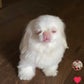 Profile image of Delores