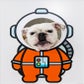 Profile image of Pancake 🥞