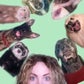 Profile image of haley and dunkin