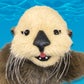 Profile image of The Pacific Pals