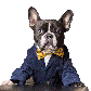 Profile image of Oscar The Frenchie