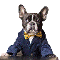 Profile image of Oscar The Frenchie