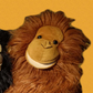 Profile image of Ginger Barry