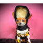 Profile image of RuPawl 🐾