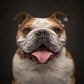 Profile image of Mister Bentley
