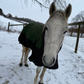 Profile image of CamiSnows
