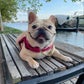 Profile image of Ollieishandsome