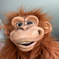 Profile image of Kevin Driscoll