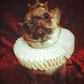 Profile image of Merkin Warbeck, Duke of Bork