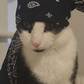 Profile image of Thug cat