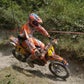 Profile image of David Knight MBE