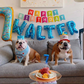 Profile image of Walter & Chandler The English Bulldogs