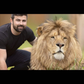 Profile image of The Lion King