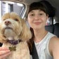 Profile image of Allison Raskin