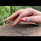 Profile image of Wild Encounters ASMR
