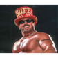 Profile image of Buff Bagwell