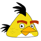 Profile image of Chuck