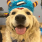 Profile image of Along Came Polly, Rosie and Bubba