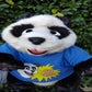 Profile image of Justin TalksPuppets