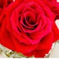 Profile image of Scotlands Rose