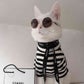 Profile image of Zappa The Cat