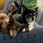 Profile image of William & Olive